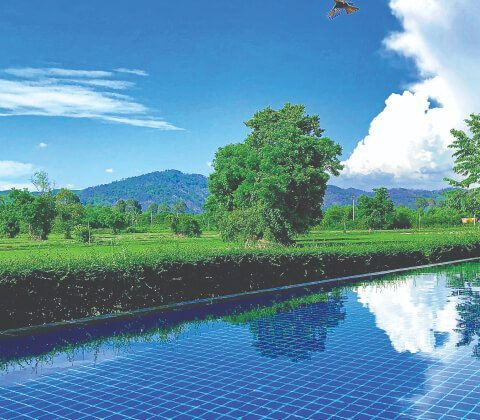 Pool-water Conservation Pool-water Conservation