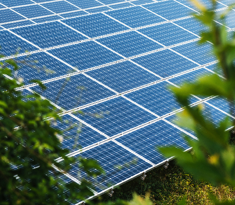 Growing Our Solar Energy Capacity in the UAE Growing Our Solar Energy Capacity in the UAE