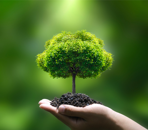 Emaar Facilities Management Decarbonisation Drive: Making an Impact on UAE’s Sustainability Goals Emaar Facilities Management Decarbonisation Drive: Making an Impact on UAE’s Sustainability Goals